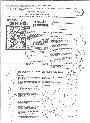 wp4091d22a.jpg